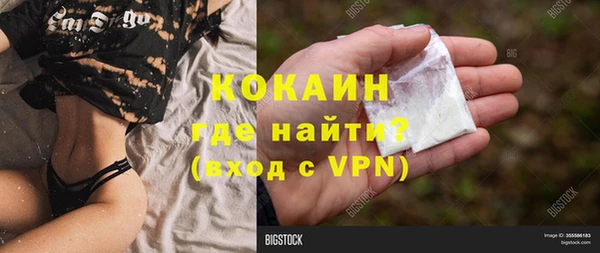соль ск Алзамай