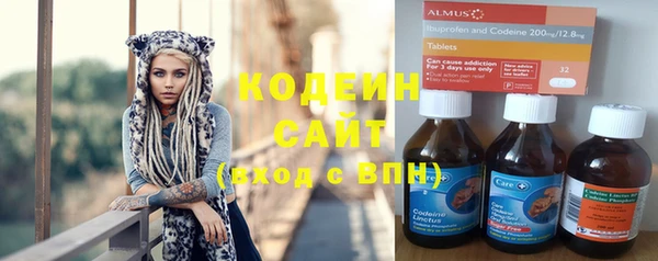 соль ск Алзамай