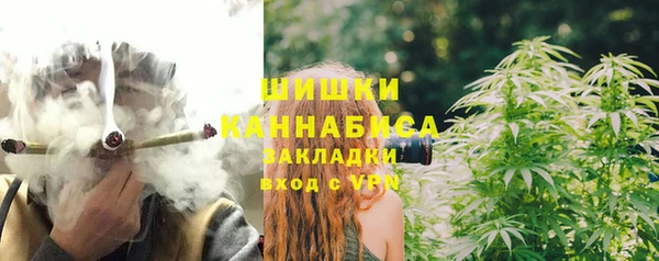 индика Ачинск