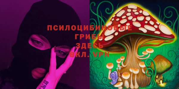 ПСИЛОЦИБИНОВЫЕ ГРИБЫ Алексеевка