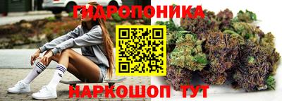 мяу мяу мука Краснознаменск