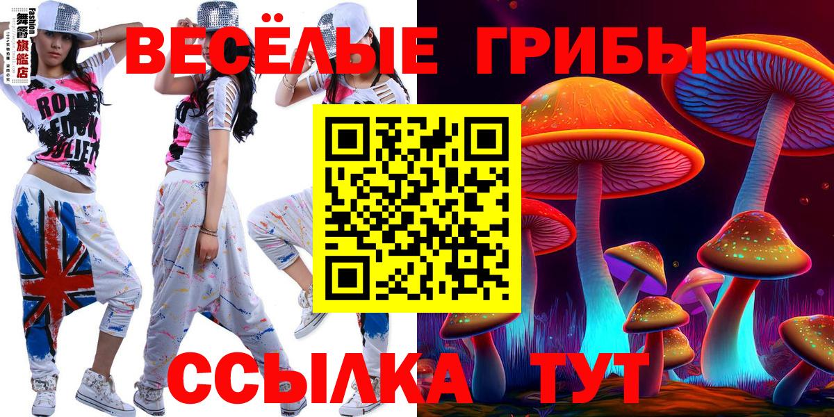 Галлюциногенные грибы мухоморы Елабуга