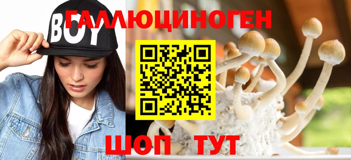 Галлюциногенные грибы MAGIC MUSHROOMS  Псилоцибиновые грибы Psilocybe  купить   Вход с VPN  Елабуга 